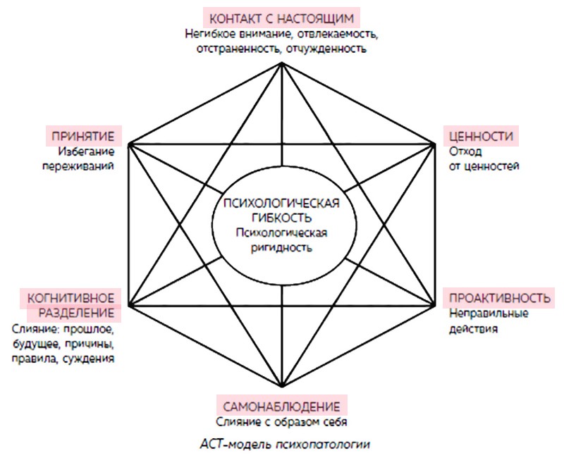 Гексофлекс ACT ригидность и гибкость